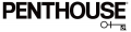 Penthouse Lingerie