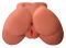 Torso da masturbatore realistico vagina e ano