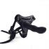 Strapon per donna con fallo realistico nero