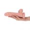 Dildo Michelangelo