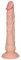 Fallo con ventosa da 18 cm european lover small